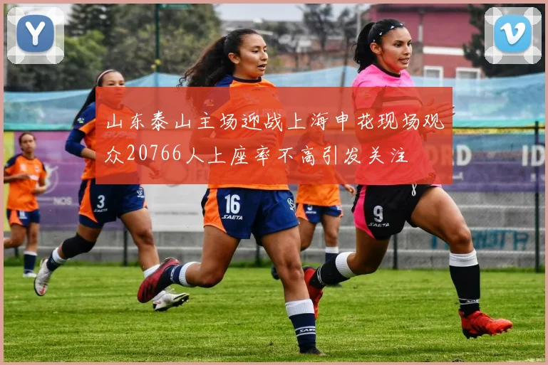 山东泰山主场迎战上海申花现场观众20766人上座率不高引发关注