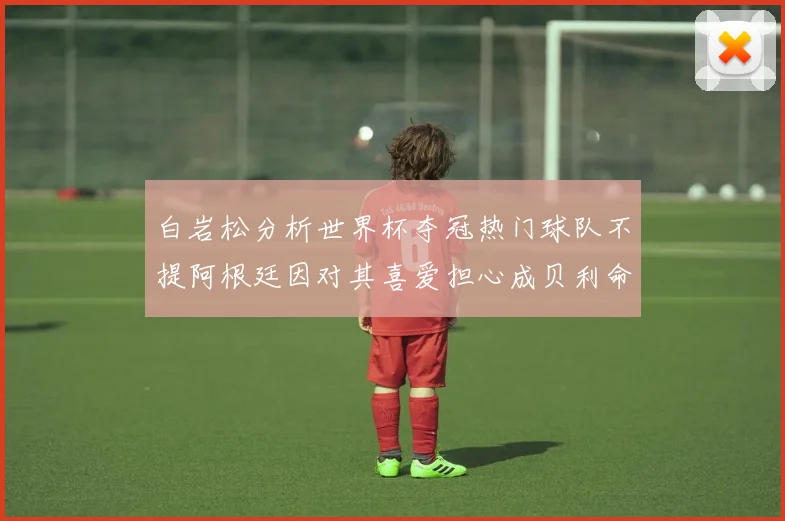 白岩松分析世界杯夺冠热门球队不提阿根廷因对其喜爱担心成贝利命运